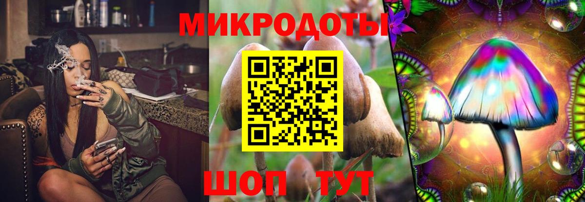Заринск  Псилоцибиновые грибы GOLDEN TEACHER  Вход с VPN 